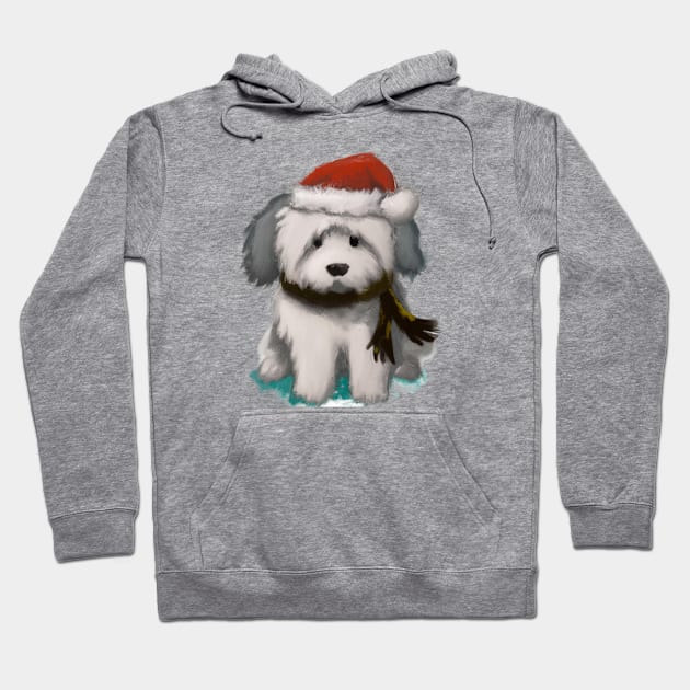 Cute Havanese Drawing Hoodie by Play Zoo